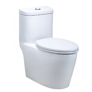 Bồn cầu 1 khối CAESAR CD1364 nắp êm Mu234