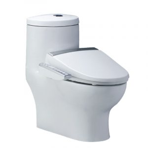 Bồn cầu 1 khối CAESAR CD1375 TAF200H nắp rửa điện tử