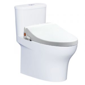 Bồn cầu 1 khối CAESAR CD1394 TAF050 nắp rửa cơ