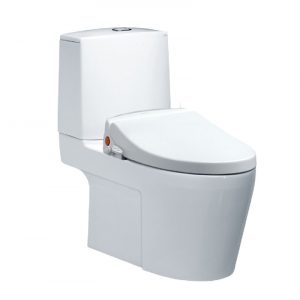 Bồn cầu 2 khối CAESAR CD1345 TAF050 nắp rửa cơ