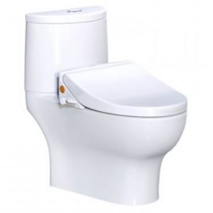 Bồn cầu 2 khối CAESAR CD1349 TAF050 nắp rửa cơ