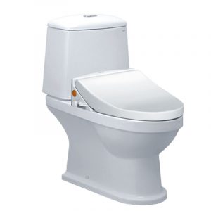 Bồn cầu 2 khối CAESAR CD1530 TAF050 nắp rửa cơ