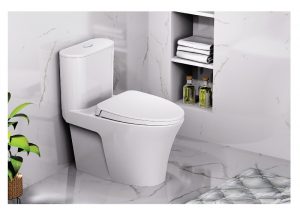 Bồn cầu 1 khối CAESAR CD1395 nắp êm M221 3 Bon cau 1 khoi Caesar CD1395 3