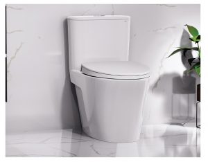 Bồn cầu 1 khối CAESAR CD1395 nắp êm M221 9 Bon cau 1 khoi Caesar CD1395