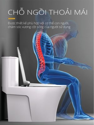 Bồn cầu 1 khối CAESAR CD1395 nắp êm M221 4 Bon cau 1 khoi Caesar CD1395 4