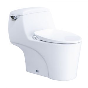 Bồn cầu thông minh CAESAR C1353 TAF060 nắp rửa cơ