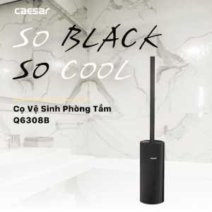 Choi co phong ve sinh CAESAR Q6308B den 1