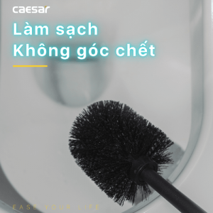 Choi co phong ve sinh CAESAR Q6308B den 5